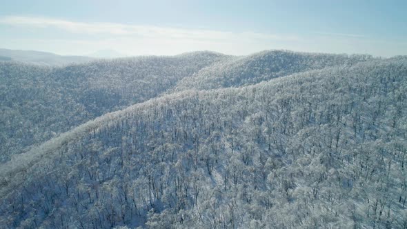 Aerial Winter Mountain Landscape of a Frozen Forest with Snow and Ice Covered Trees on a Sunny