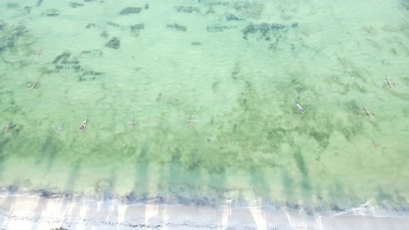 Beautiful Landscape of the Indian Ocean Near the Shore of Zanzibar Tanzania