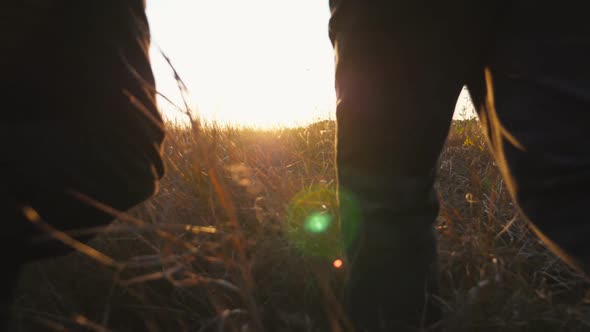 Young Parents with Kids Holding Hands of Each Other and Running Through Grass Field at Sunset