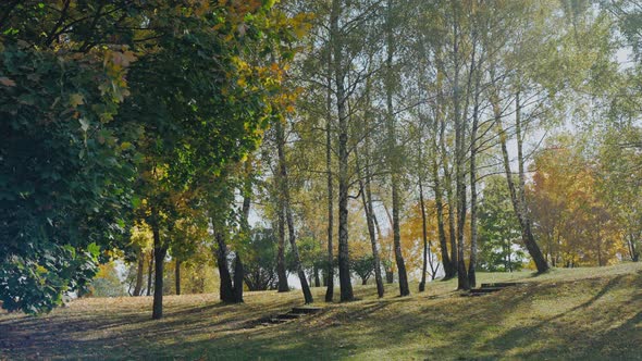 Shot of Beautiful Landscape in Multileafed City Park on a Sunny Autumn Day