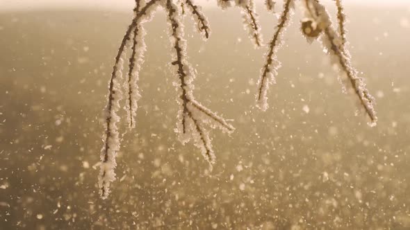 Christmas Still Life in Wooden Background and Snowflakes Falling