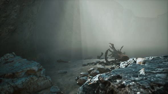 Rocky Cliff with Sand Beach in Deep Fog