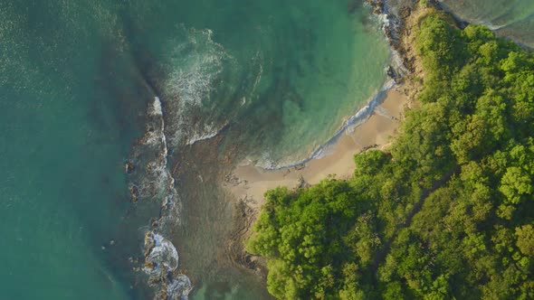 Aerial of trees and beautiful turquoise water on coastline