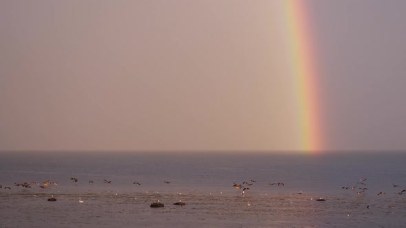 Ocean Rainbow