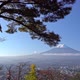 Beautiful nature in Kawaguchiko with Mountain Fuji in Japan - VideoHive Item for Sale