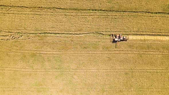 Aerial View of a Old Combine Harvester Goes on Way to Harvest Wheat