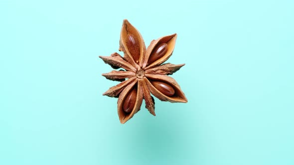 Star Anise Rotating on Blue Cyan