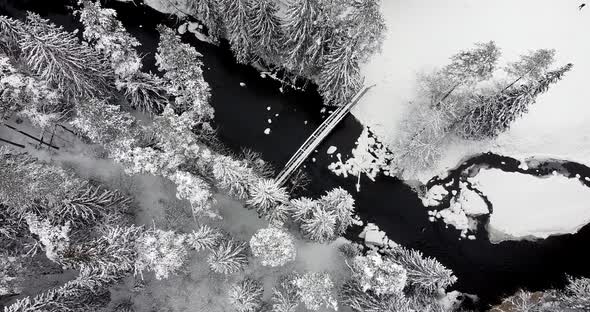 Camera Slowly Tilting Down Overlooking Black River Frozen Forest