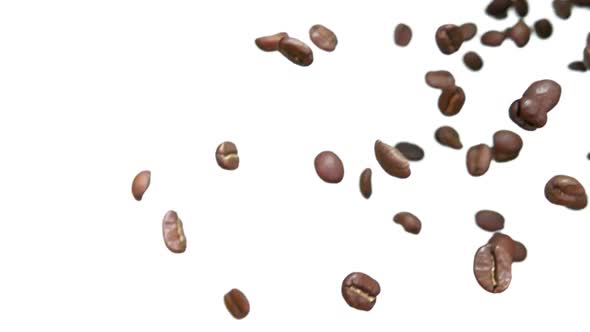 Roasted Coffee Beans Are Flying Diagonally on the White Background