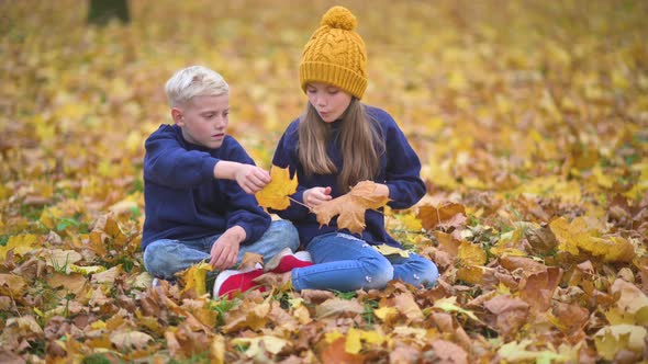 Happy Cute Children Having Fun in the Autumn Park.