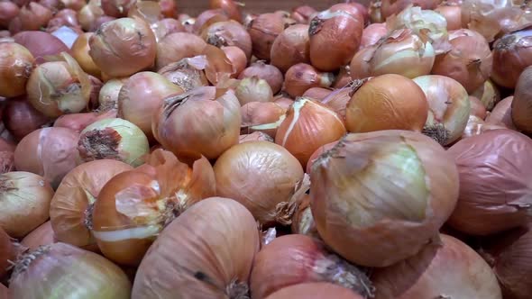 Pile Of Organic Fresh Ripe Onion 1