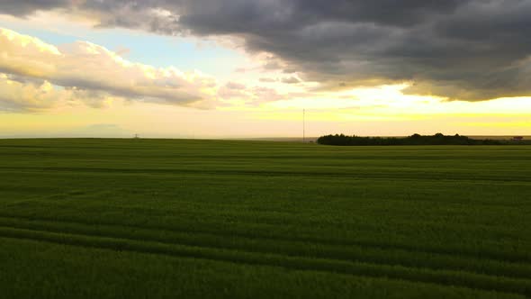 Aerial Landscape View of Green Cultivated Agricultural Fields with Growing Crops on Bright Summer