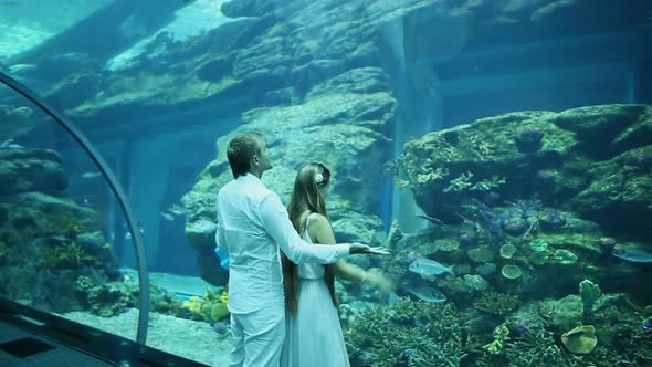 The Girl and the Guy Admired What He Saw in the Aquarium