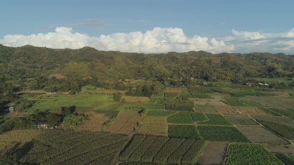 Landscape with Rice Terrace Field Philippines, Luzon.