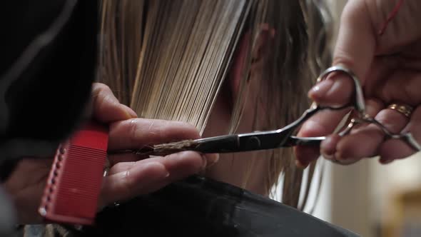 Trimming Female Hair