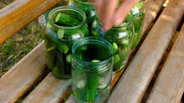 Stacking Cucumbers in Jars for the Winter Pickle Gherkin