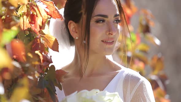 Beautiful Bride on a Background of Sunlight in a Yellow Leaf