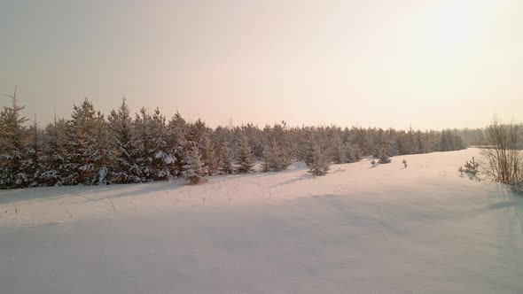 View From a Drone on a Beautiful Winter Landscape Near the Road