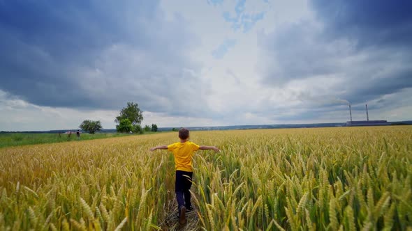 Cute child running in a wheat golden field on a summer day