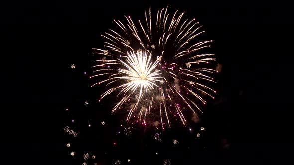 Fireworks Against the Background of the Night Sky