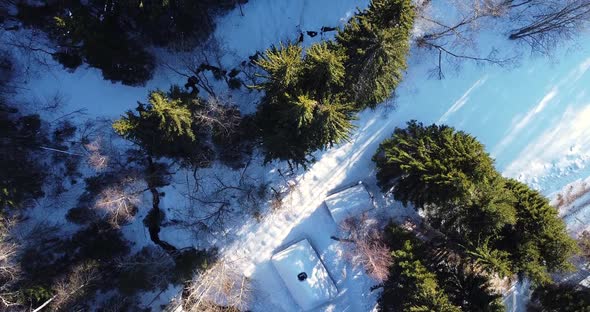 Winter Forest View Over Log Cabin Nearby the Frozen River