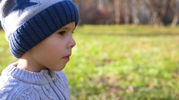 A Child in the Autumn Park on a Picnic