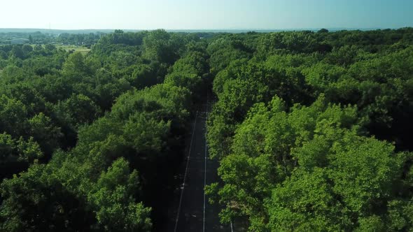 Birds Eye View - Flying Over a Country Road That Lies Between a Densely Populated Forest