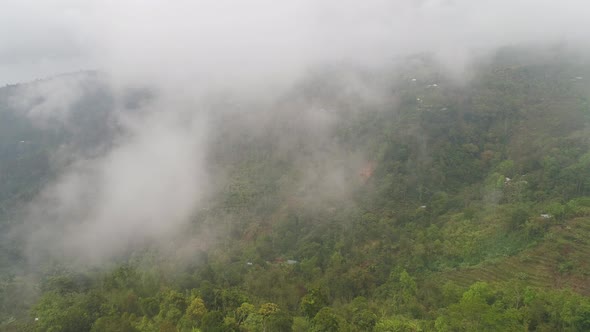 Farmlands and Village Bali Indonesia