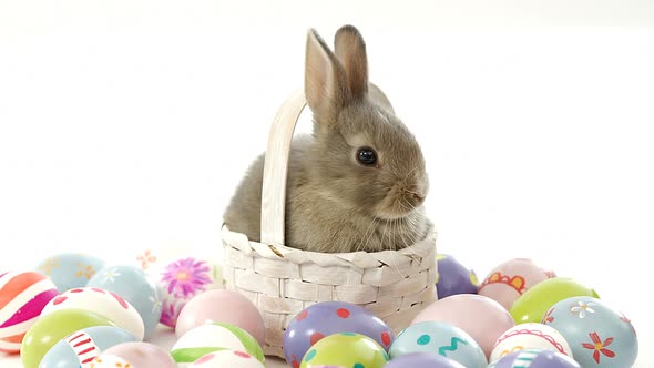 Easter eggs and Easter bunny in wicker basket