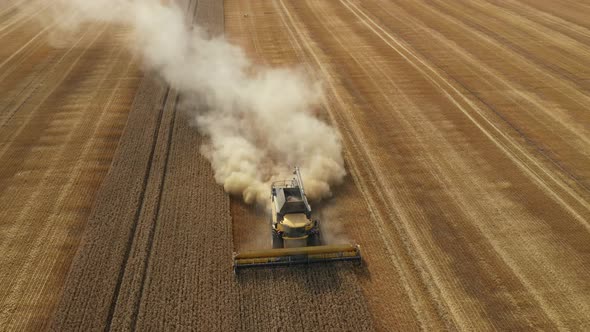 Harvester Harvests Wheat Crop On Field