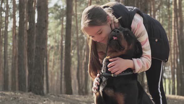 Walking with a Dog in a Coniferous Forest