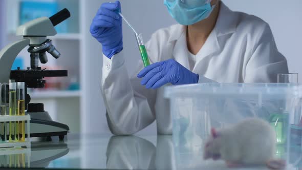 Female Researcher Mixing Chemical Liquids in Tube, Testing Cosmetics on Rats