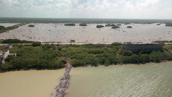 Shoreline of Mangrove in Yucatan