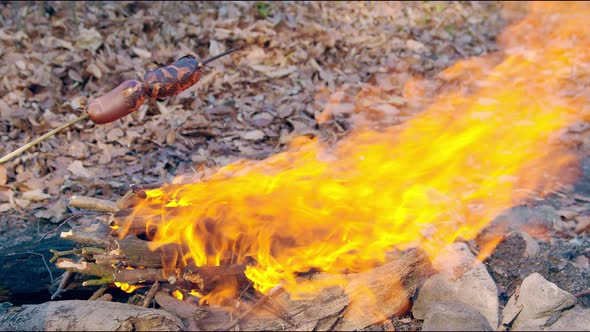 Firewood Burning Closeup Per Day. Bonfire Coal Ignites Sparks. Magic Quality Fire in Nature.