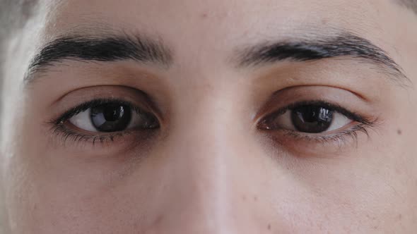 Extreme Close Up Male Face Young Arab Hispanic Man Handsome Model Guy with Expressive Brown Eyes