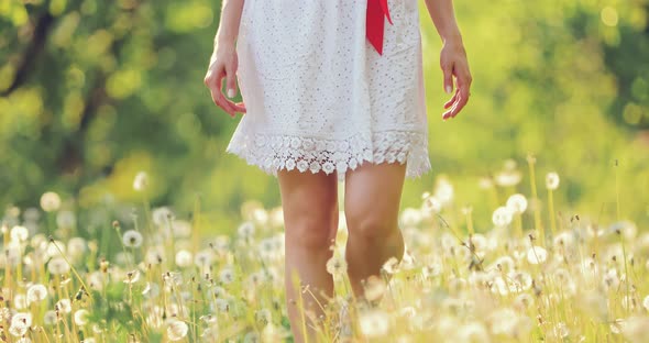 On a Clear Sunny Day Girl Walks Through a Field of Flowers