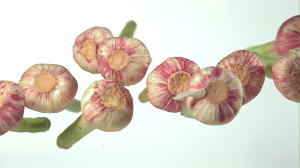 Super Slow Motion Garlic Falls on a White Background