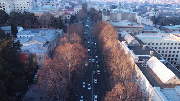 Cars In The Street And Sunset Light On The Trees