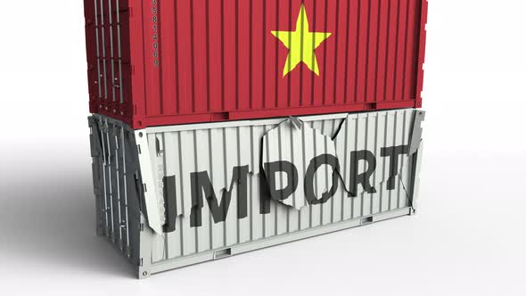 Container with Flag of Vietnam Breaking Container with IMPORT Text alt