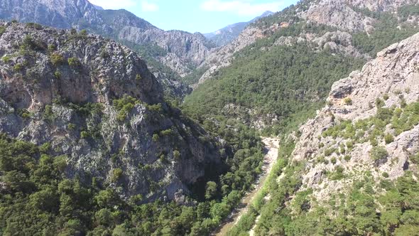 Deep Rocky Canyon Covered With Forest