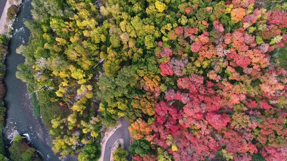 Aerial view looking down at Provo River and colorful Fall leaves