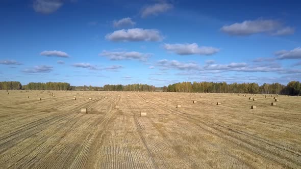 Flight Above Straw Bales Scattered on Field Against Forest