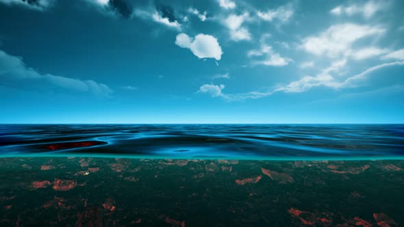 Underwater View with Horizon and Water Surface Split By Waterline