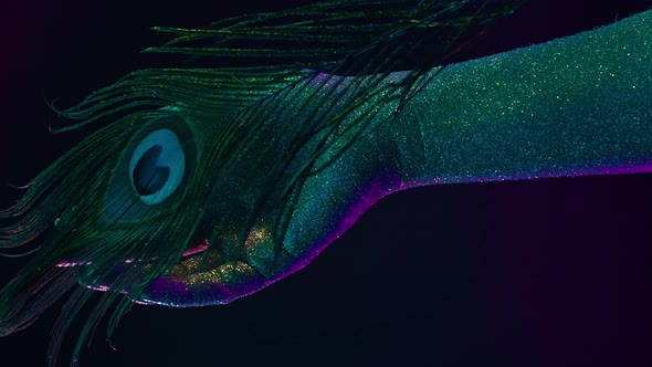 Peacock Feather Stroking Female Hand Covered with Holographic Shining Glitter Under Neon Colored