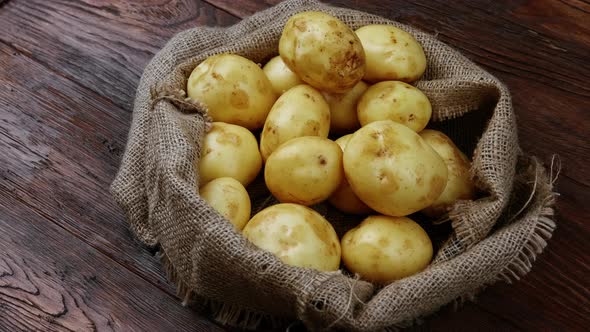 Harvest Potatoes in Burlap Sack on Rustic Background