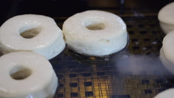 The Circle-shaped Bases for Donuts Are Fried