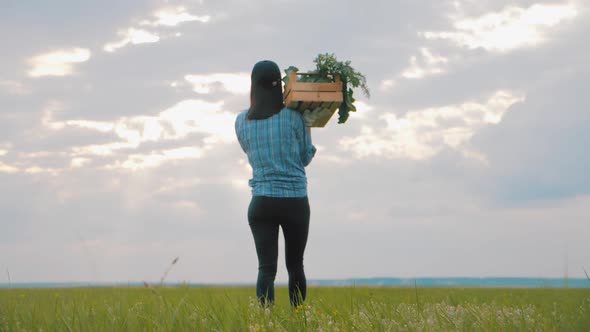 Farmer Woman Holding Wooden Box Full of Fresh Raw Vegetables in Field.