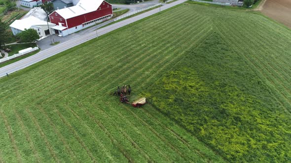 Aerial View of Amish Farm Worker Harvesting the Field in Spring With 4 Horses and 3 Dogs