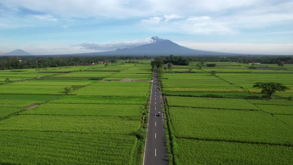 Rice fields with a straight road to Mount Merapi Yogyakarta