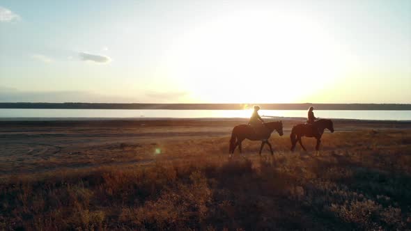 Drone Aerial View of Woman Riding Horses on Open coast.Stallion training.Jogging